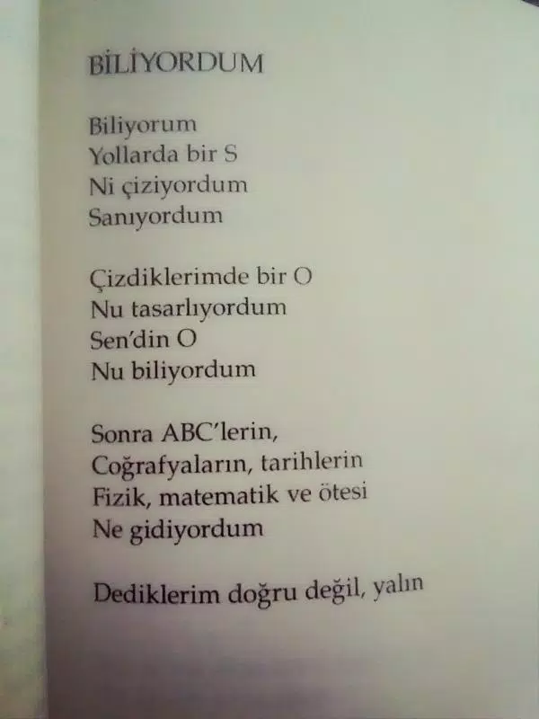 sukubidu türkçe izle