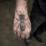 Tatuaże Pszczół ikona