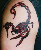 Scorpion Tattoo screenshot 1