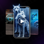 Video Live Wallpapers Maker icono