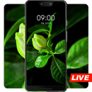 Blooming white flowers buds live wallpaper APK