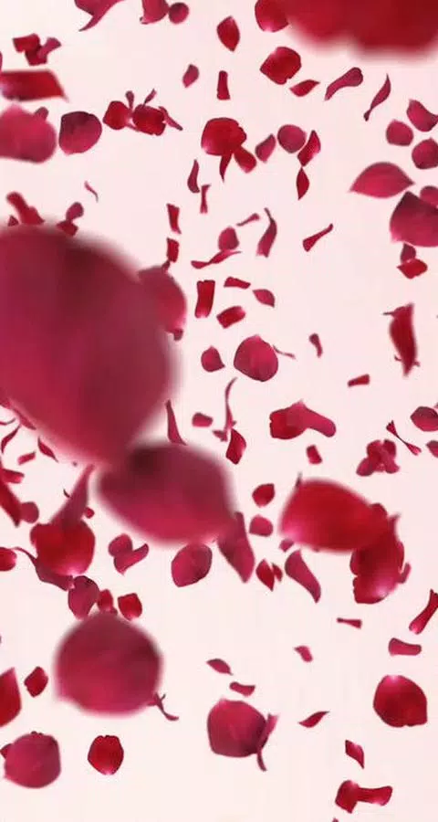 Red rose petals falling live wallpaper APK for Android Download