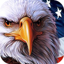 American Flag Live Wallpaper Themes APK