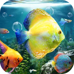 Descargar XAPK de Aquarium Fish Live Wallpaper