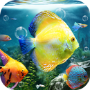 Aquarium Fish Live Wallpaper APK