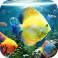 Aquarium Fish Live Wallpaper