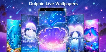 Romantische Delphin Live Hintergrund