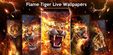 Flame Tiger Live Wallpaper