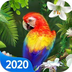 Brazilian Parrot Live Wallpaper APK download