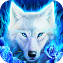 Fond d'écran blanc de loup Live APK