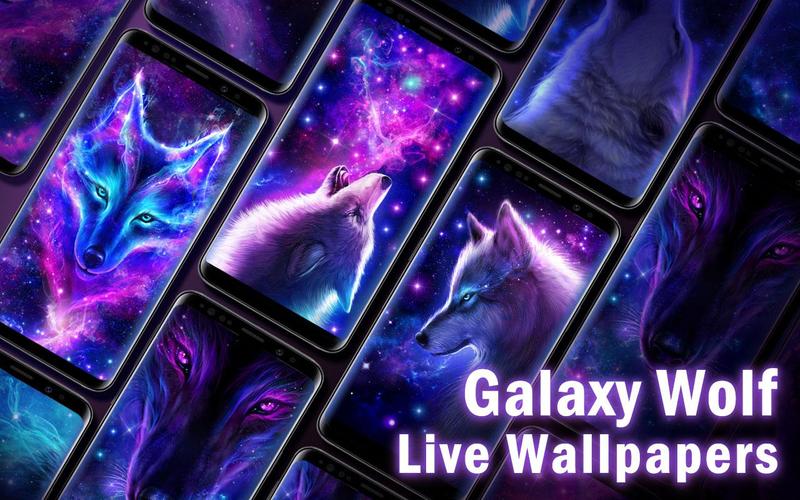 Anime Galaxy Spirit Galaxy Wolf Cats