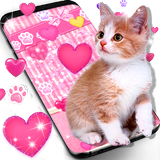 Cute pink kitty live wallpaper icône