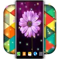 Live Wallpaper FREE Creator