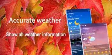 Local Weather Alerts - Widget