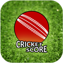 Live Cricket Score 2019 APK