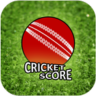 Live Cricket Score 2019 آئیکن