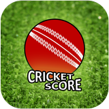 Live Cricket Score 2019 アイコン