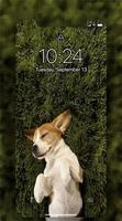 Dogs Wallpaper Screenshot 2