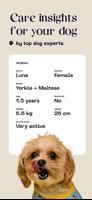 Dog care quiz and facts Affiche