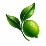 Vietnamese APK