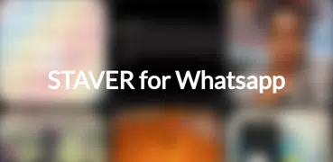 STAVER for Whatsapp