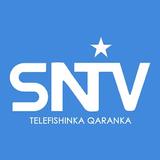 SNTV icône
