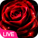 Rosa roja de neón Fondo de pantalla en vivo icono