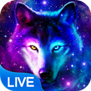Wolf am Nachthimmel Live Hintergrund APK