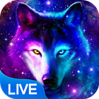 Wolf am Nachthimmel Live Hintergrund Zeichen