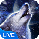 Howling Wolf Live Wallpaper APK