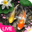 Lucky Koi Fish Live Wallpaper APK