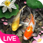 Lucky Koi Fish Live Wallpaper icône