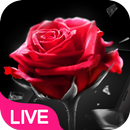 Kırmızı Gül Canlı Duvar Kağıdı APK