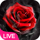 Smoke Red Rose Live Wallpaper icône