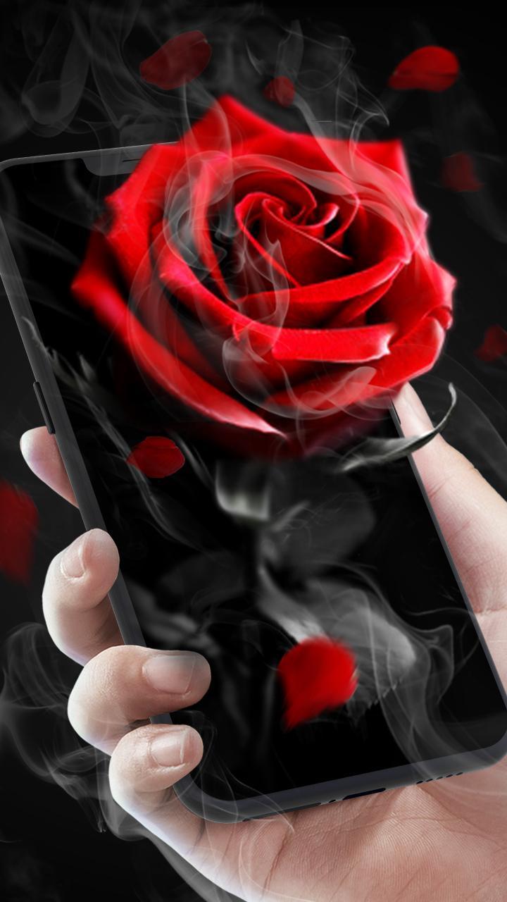 Игра проверь телефон розы. Живые черные розы.