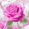 Pink Rose & Dew Live Wallpaper आइकन Pink Rose & Dew Live Wallpaper आइकन