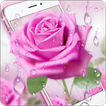 Pink Rose & Dew Live Wallpaper
