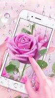 Pink Rose & Dew Live Wallpaper پوسٹر