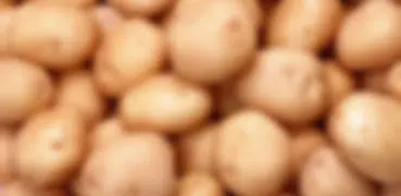Рецепты из картофеля