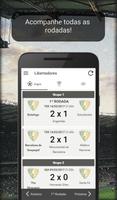 Tabela Libertadores 2023 screenshot 2
