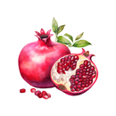 La Casa Dei Melograni - Libro APK