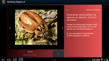 Lieveheersbeestjes in NL en BE capture d'écran 1