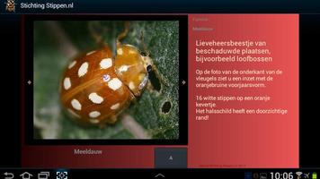 Lieveheersbeestjes in NL en BE Ekran Görüntüsü 2