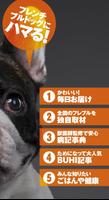 French Bulldog Life【フレンチブルドッグラ screenshot 1