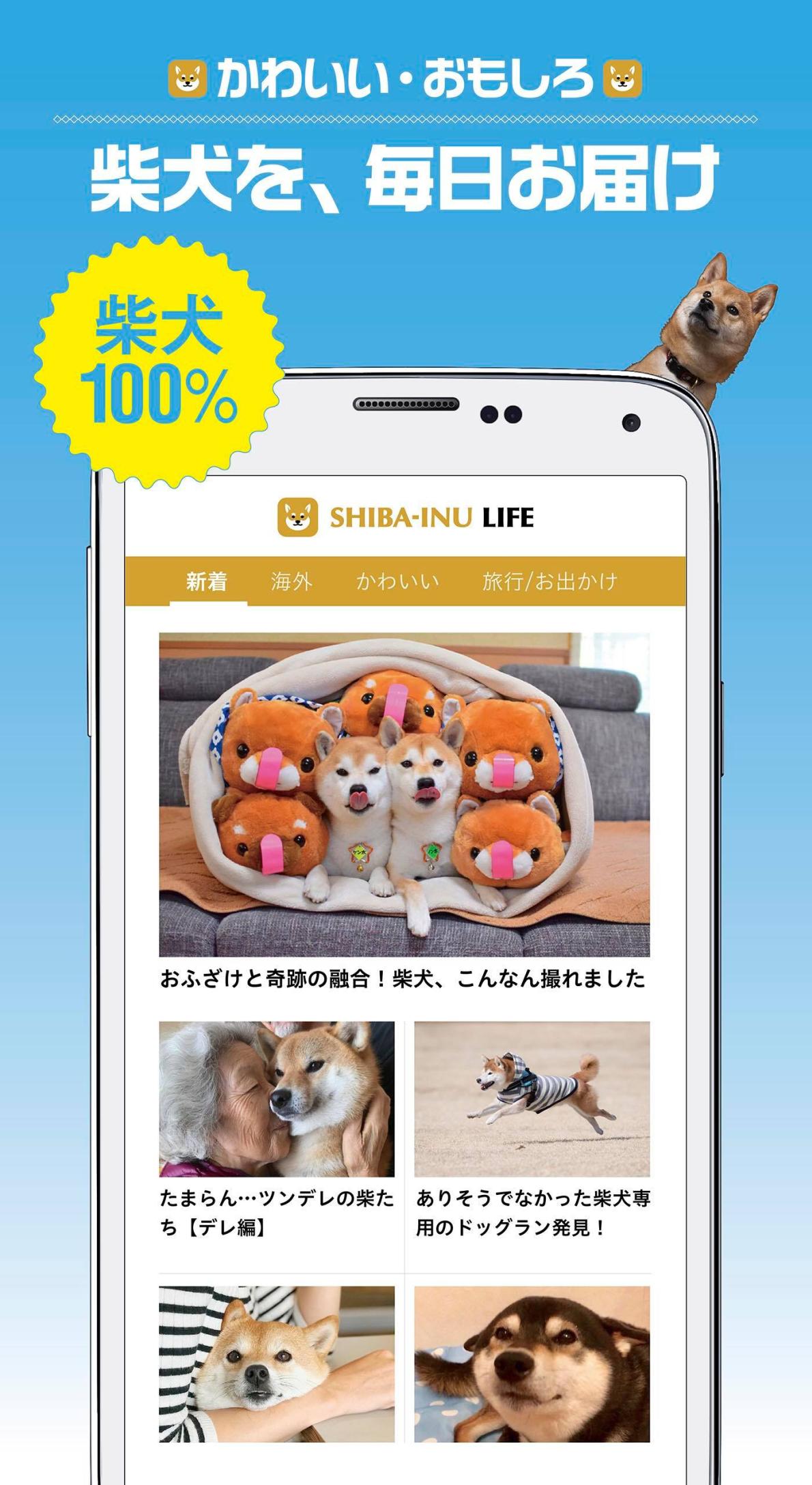 柴犬ライフ For Android Apk Download