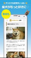 柴犬ライフ capture d'écran 2