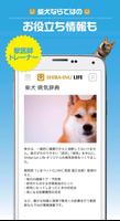 柴犬ライフ capture d'écran 3