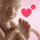 APK Preggers | Baby App