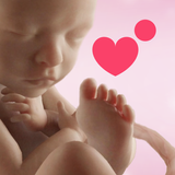 Preggers App: Ciąża & dziecko