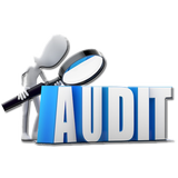 Learn Auditing APK